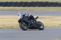 7th-March-2020;Anglesey-Race-Circuit;No-Limits-Track-Day;anglesey-no-limits-trackday;anglesey-photographs;anglesey-trackday-photographs;enduro-digital-images;event-digital-images;eventdigitalimages;no-limits-trackdays;peter-wileman-photography;racing-digital-images;trac-mon;trackday-digital-images;trackday-photos;ty-croes